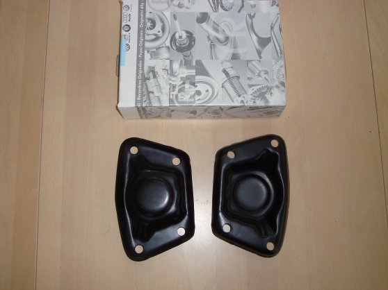 benny billeder 1506.jpg